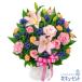 �y���j���z�ԃL���[�s�b�g �h�V�̓� �a���� �L�O�� �����j�� �����} �җ� �J�X�J�� ���Ɠ��w ���� �����ƃ����h�E�̉؂₩�ȃA�����W�����g
