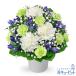 �y�������E������݂̉ԁz�ԃL���[�s�b�g �����z�B ���� ���� �@�v ���� ���~ ���ފ� �l�\��� ���� �������̃A�����W�����g