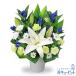 �y�������E������݂̉ԁz�ԃL���[�s�b�g �����z�B ���� ���� �@�v ���� ���~ ���ފ� �l�\��� ���� �������̃A�����W�����g