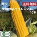  acceptance beginning! rare! have machine cultivation corn 10 pcs insertion . morning .. that way cool flight delivery free shipping pesticide un- use .. Gold Rush 