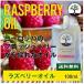 ラズベリーオイル100%（100ml）メール便は送料無料