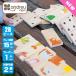 ANDREU-TOYS ����ɥ�塼�ȥ��� �ɥߥΥѥ��롦���˥ޥ� AN113 �ΰ��� ������� �ΰ餪����� �ˤλ� ���λ� �ΰ�ѥ��� ���� �ڤΤ������ 2�� 3��