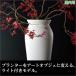 Plust Collection ץ饹ȡ쥯 塼  SL-913HL-A