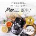  hair dye shampoo all-in-one organic mi- color shampoo black Brown popularity ranking cream shampoo Mee color (350g)