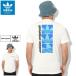 �A�f�B�_�X T�V���c ���� adidas �����Y YUNG Z �I���W�i���X ( YUNG Z S/S Tee Originals T-SHIRTS �J�b�g�\�[ �g�b�v�X �j���p HC7189 )