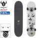  темный Star скейтборд скейтборд DARKSTAR Complete панель 7.875 дюймовый FELIX THE CAT News FP сотрудничество (7.875in × 31.7in конечный продукт )