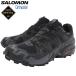 Salomon спортивные туфли SALOMON мужской мужской скорость Cross 6 Gore-Tex Black/Black/Phantom ( SPEEDCROSS 6 GTX GORE-TEX водонепроницаемый L41738600 )