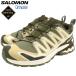  Salomon спортивные туфли SALOMON мужской мужской X e- Pro 3D V9 Gore-Tex Deep Lichen Green/Safari/Dark Earth (XA PRO 3D V9 GTX водонепроницаемый L47820200)