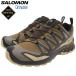  Salomon спортивные туфли SALOMON мужской мужской X e- Pro 3D V9 Gore-Tex Dark Earth/Desert Tan/Black ( XA PRO 3D V9 GTX водонепроницаемый L47881800 )