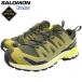 Salomon спортивные туфли SALOMON мужской мужской X e- Pro 3D V9 Gore-Tex Grape Leaf/Aloe/Acid Lime ( XA PRO 3D V9 GTX GORE-TEX водонепроницаемый L49229500 )