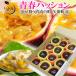  маракуйя юность passion 12 шар примерно 60g-70g превосходящий товар Okayama префектура стрела . блок производство .. для подарок подарок . праздник .. внутри праздник день рождения фрукты .. было использовано фрукты 