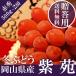 2025 подарок Okayama префектура производство фиолетовый .2.(500g×2).. для . лет . виноград виноград подарок ... праздник .. фрукты .. было использовано фрукты 