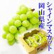 2025 Okayama префектура производство автомобиль in мускат .. super товар 5kg(5~10.) простой упаковка . для бытового использования царапина * маленький шарик * шарик выпадение и т.п. доступный товар виноград фрукты 