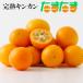 ....... кроме того, .2kg L-3L красный превосходящий (A и т.п. класс ) Miyazaki префектура производство .. для подарок мандарин .... золотой . кинкан подарок ... праздник фрукты 