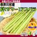  лето aspalaL~LL размер 400g×2 несессер Hokkaido производство Gree aspalaSGL-1DB