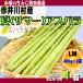  лето aspala зеленый aspalaM~L размер 400g×2 пакет несессер Hokkaido производство SGML-1DB