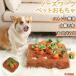 �y�b�g�������� �m�[�Y���[�N �ɂ񂶂� �y�b�g �������� �� �ɂ񂶂� ���� �L �˂� �m�[�Y���[�N �m��ߋ� �ʂ������ �l�Q �L�m�R ����� �g�C �m��g�C