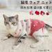  кошка для товары для домашних животных кошка кошка одежда защищающий от холода европейская одежда кошка европейская одежда модный кошка. одежда симпатичный кошка одежда рукав имеется кошка свитер "дышит" кошка для вязаный кошка одежда кошка одежда кошка одежда домашнее животное 