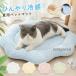  домашнее животное bed летний собака bed кошка bed охлаждающий коврик .... коврик летний коврик охлаждающий коврик круг мытье возможность мягкий цветочный принт товары для домашних животных маленький размер собака кошка для 