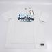  новый товар Royal Enfield Royal Enfield оригинальный T-Shirt IB футболка короткий рукав XL размер серый RLATSS231565 TSS230026