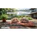  вода . способ. магия ..... днем . терраса домашнее животное охлаждающий влажный плитка Japan mad неглазурованный фарфор . plate 10x15cm летний bed хомяк еж 
