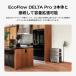 EcoFlow �G�R�t���[ �f���^�v���R��p�G�N�X�g���o�b�e���[ �e��4,000Wh DELTA Pro 3 ��p �֘A�摜5