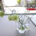 iittala aruva*a Alto коллекция 1007039 основа 120mm прозрачный iittala Alvar Aalto ваза цветок брак праздник . подарок подарок . покупка 