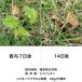 �V�o�L�[�v�v���X�� 2.2kg �֘A�摜1