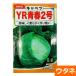  капуста YR юность 2 номер . индиго ( вид :utane)