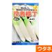 役者横丁(60日型)（だいこん）　（種:ウタネ）