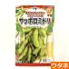  Sapporo зеленый (....)( вид :utane)