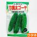  Okinawa futoshi горький огурец ( момордика харанция )( вид :utane)