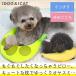 ���p�x�b�h IDOG&ICAT ���������s���[ �A�C�h�b�O �֘A�摜1