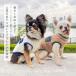 �� �� IDOG EQUIPMENT �w���J���N���V�b�N�{�A�x�X�g  �A�C�h�b�O �֘A�摜2