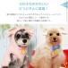 �� �N��� iDog ���x�̃R�X�`���[�� �Ђ�����p�[�J�[ �A�C�h�b�O �֘A�摜4