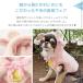 �� �N��� iDog ���x�̃R�X�`���[�� �Ђ�����p�[�J�[ �A�C�h�b�O �֘A�摜5