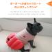 �����_�t���Z�[�� 20%OFF �� �n���E�B�� iDog �p���v�L�������s �A�C�h�b�O �֘A�摜5