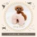 �� �����̂��� iDog fleur ���܂���s���[ �A�C�h�b�O �֘A�摜2