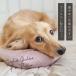 �� �}�b�g IDOG&ICAT �u�[�������s���[ �L���g �A�C�h�b�O �֘A�摜1