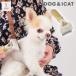  собака кошка щетка IDOG&amp;ICAT Groomie нижний пальто li Move S размер I собака 
