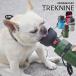  one da полный распродажа 30%OFF. прогулка водоснабжение iDog TREKNINE FOLDABLE PET WATER BOTTLE складной водоснабжение бутылка Trek na in I собака 
