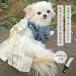 iDog ���{�̓`��|���N���� ����������t�� �A�C�h�b�O �֘A�摜2