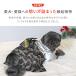 iDog ���{�̓`��|���N���� ����������t�� �A�C�h�b�O �֘A�摜4