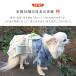 iDog ���{�̓`��|���N���� ����������t�� �A�C�h�b�O �֘A�摜5