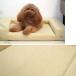 ���p�i IDOG&ICAT UNAGE �A���G�C�W �̈����U�V�j�A���[�x�b�h �J�h���[�^�C�v��p�J�o�[ �����E�h���L���g S�T�C�Y �֘A�摜4