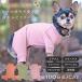 �� �� iDog UNAGE_JUGEM �w���J���Ȃ� �A���G�C�W �W���Q�� �A�C�h�b�O �b��t���� �� ���J�o���[