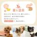 �� �� iDog UN_AGE TAMAGAWA �y�b�g������ �A�C�h�b�O �b��t���� �� ���J�o���[ �֘A�摜5