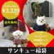 犬服 セール iDog サンキュー福袋 アイドッグ ※お一人様1点まで 送料無料