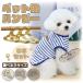  dog for hanger Gold 5 pcs set 15cm 20cm 25cm made of metal dog clothes cat clothes dog for pets gold color stylish pretty pet accessories 