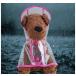 犬用レインコート レインポンチョ ポンチョ型 ドッグウェア 雨具 カッパ レインウェア スケルトン 半透明 フード付き パーカー 帽子付き 小型犬 中